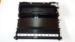Transfer belt 604K76391 - Xerox Phaser 7100