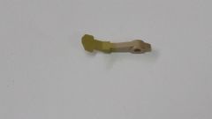 Finger in Fuser 019E57831 - Xerox WC 4110 4112